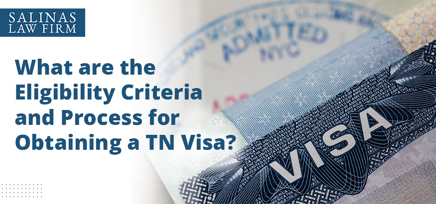 What Are The Eligibility Criteria And Process For Obtaining A Tn Visa